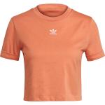 Reduzierte Orange adidas Adicolor Crop-Tops & Bauchfreie Tops Cropped für Damen Größe XS für den für den Sommer 