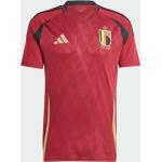 Adidas Belgien 24 Heimtrikot | rot | Herren | M | IQ0769 M