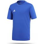 Adidas Core 18 Trainingsshirt Kinder (CV3495) blau