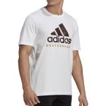 Adidas DFB DNA Graphic Shirt 2022/2023 white