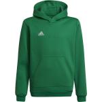 Grüne adidas Entrada Sweatshirts aus Fleece mit Kapuze Größe 3 XL 