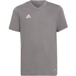 Adidas Entrada 22 T-Shirt Shirt grün 116