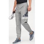 Adidas Essentials Performance Logo Pants grey