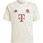Adidas FC Bayern München Champions League Trikot Kinder 2023/2024