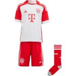 adidas FC Bayern München Heim Minikit 2023/24 Kinder