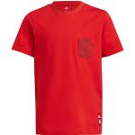 Reduzierte Rote adidas Performance FC Bayern Kinder T-Shirts mit Alpen-Motiv Größe 176 