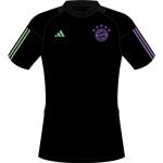adidas FC Bayern München Tiro 23 Cotton T-Shirt 23/24 Herren - schwarz-XL