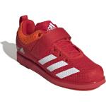 Rote adidas Performance Fitnessschuhe mit Schnürsenkel in Normalweite aus Mesh leicht für Herren Größe 46 