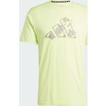 Grüne adidas Essentials T-Shirts für Herren Größe L 