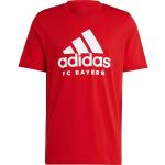 ADIDAS Herren Fanshirt FC Bayern München DNA Graphic RED XL (4066759000971)