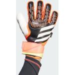 ADIDAS Herren Handschuhe PRED GL MTC FS BLACK/SOLRED/SYELLO 10 (4067891880803)