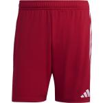 Rote adidas Tiro 23 Herrenshorts Größe XL für den für den Sommer 