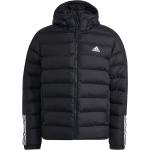 Reduzierte Schwarze adidas Performance Winterjacken aus Polyester mit Kapuze für Herren Größe XS für den für den Winter 