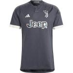 Adidas Juventus Turin Ausweichtrikot 2023/2024 | grau | Herren | S | HR8250 S