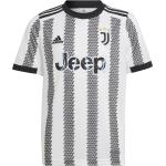 adidas Juventus Turin Trikot UCL 2022/2023 Kids blau