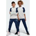 Adidas Kids Ajax Tiro 23 Kids Training Pants collegiate navy/clear mint (HZ7773)