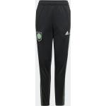 Adidas Kids Celtic FC Condivo 22 Juniors Training Pants black (HA5429)
