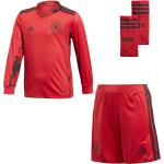 Rote adidas Performance DFB - Deutscher Fußball-Bund V-Ausschnitt Kinderbasketballtrikots - Heim 