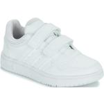 Weiße adidas Hoops Low Sneaker für Kinder Größe 28 