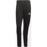 Adidas Man Condivo 21 Primeblue Training Pants black/white (GN5436)