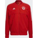 Adidas Man FC Bayern München Condivo Anthem Jacket red (H67192)