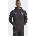 Adidas Man FC Bayern München Designed For Gameday Full-Zip Hoodie black/shock purple (IB0993)