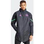 Adidas Man FC Bayern München Designed for Gameday Premium Jacket black/shock purple (HY3301)