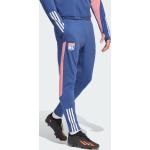 Adidas Man Olympique Lyon Tiro 23 Training Pants Tech indigo/hazy rose (IB0934)