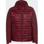 Adidas Man TERREX MYSHELTER Hooded Down Jacket shadow red (HH9214)