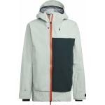 Adidas Men's Terrex MYSHELTER 3-Layer GORE-TEX Snow Jacket Shagrn/Lingrn Shagrn/Lingrn L