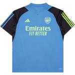 Adidas Originals Arsenal FC TR JERSEY Blau