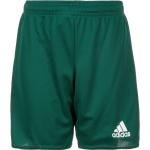 Adidas Parma 16 Shorts Short grün XS