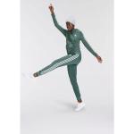Grüne Sportliche adidas Essentials Zip Hoodies & Sweatjacken mit Kapuze für Damen Größe XS 
