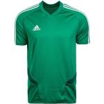 Adidas Tiro 19 Trainingsshirt | grün | Herren | M | DW4812 M