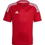 Adidas Tiro 23 Club Kinder Trikot rot / weiß