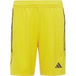 Adidas Tiro 23 League Shorts Short gelb 176