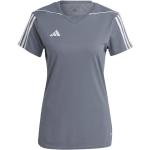 adidas Tiro 23 League Trikot Fußball Handball Training Sport Shirt kurzarm Damen