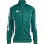 Adidas Tiro 24 Trainingsjacke | grün | Herren | L | IR7500 L