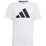 adidas Training ES Logo T-Shirt Jungen in weiß