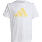 adidas Training Essential Logo Tee T-Shirt Jungen in weiß