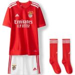 adidas Unisex Baby Benfica Home Youth Kit 2021 202