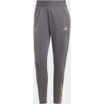 Adidas Woman FC Arsenal Tiro 23 Training Pants grey five (IJ7792)