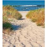 Leinwand-Bild 40 x 60 cm: Strandzugang, Weg zum Ostsee mit Malzgras beiseite (29599955)