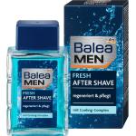Ölfreie Balea After Shaves für  empfindliche Haut für Herren 