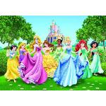 AG Design FTD 2207 Disney Princess Prinzessinen, Papier Fototapete - 360x254 cm - 4 teile, Papier, multicolor, 0,1 x 360 x 254 cm