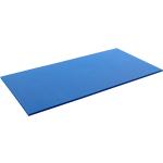 AIREX Gymnastikmatte Hercules, LxBxH 200x100x2,5 cm, Blau
