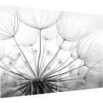 Herdabdeckplatten mit Blumenmotiv aus Glas 2-teilig 