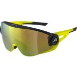 Schwarze Alpina Sportbrillen & Sport-Sonnenbrillen 