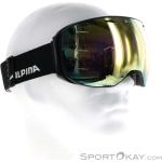 Alpina Big Horn QVM Skibrille
