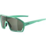 Grüne Alpina Bonfire Sportbrillen & Sport-Sonnenbrillen für Herren 